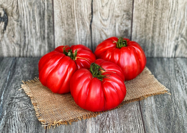 Tomāti Rievoti  [ 750G ]