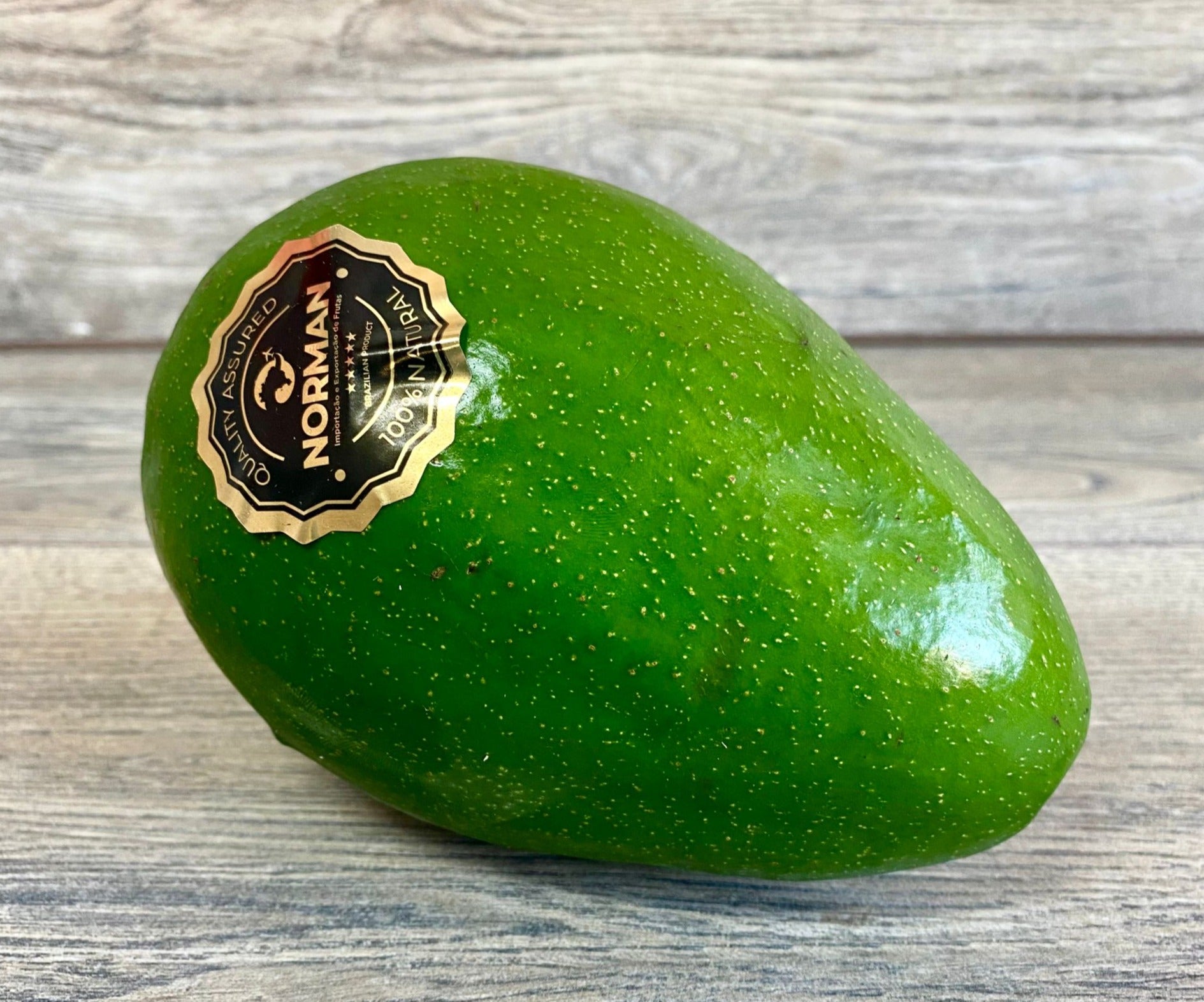 Avokado Tropical XL 🥑 [ 1 GB ]