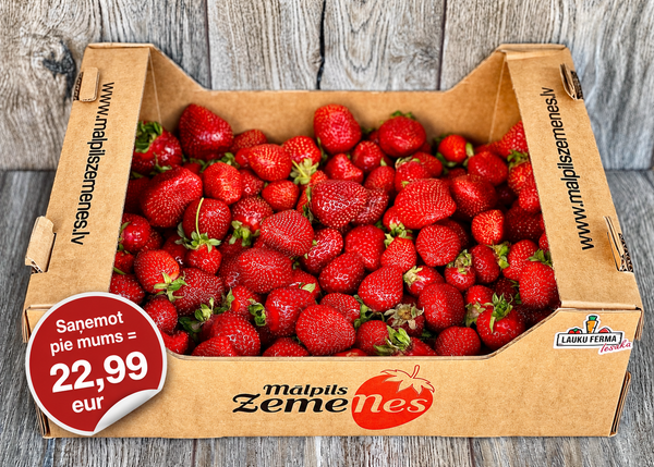 Latvijas Mālpils zemenes 🍓 [ 3 KG ]