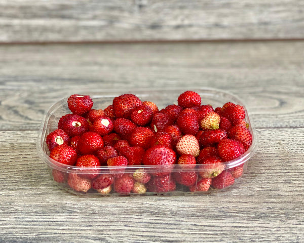 Meža zemenes Itālija [ ≈ 130 G ]