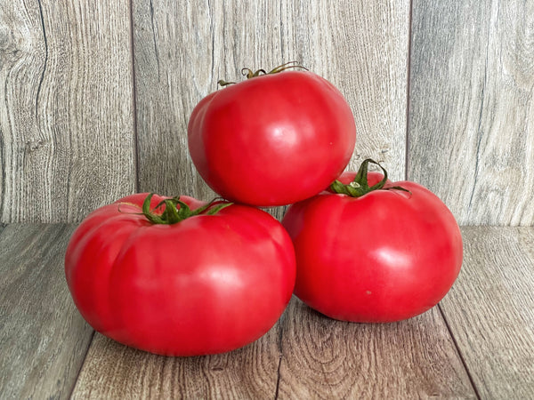 Mājas tomāti [ 1 KG ]