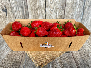 Zemenes Latvija Ģibuļ Berry [ 1 KG ]