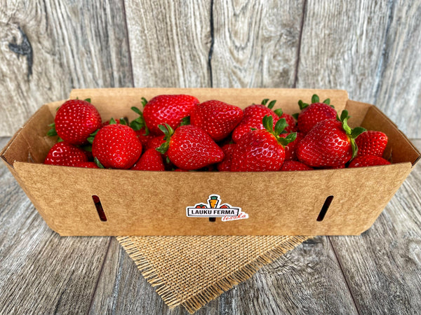 Zemenes Latvija Ģibuļ Berry [ 1 KG ]
