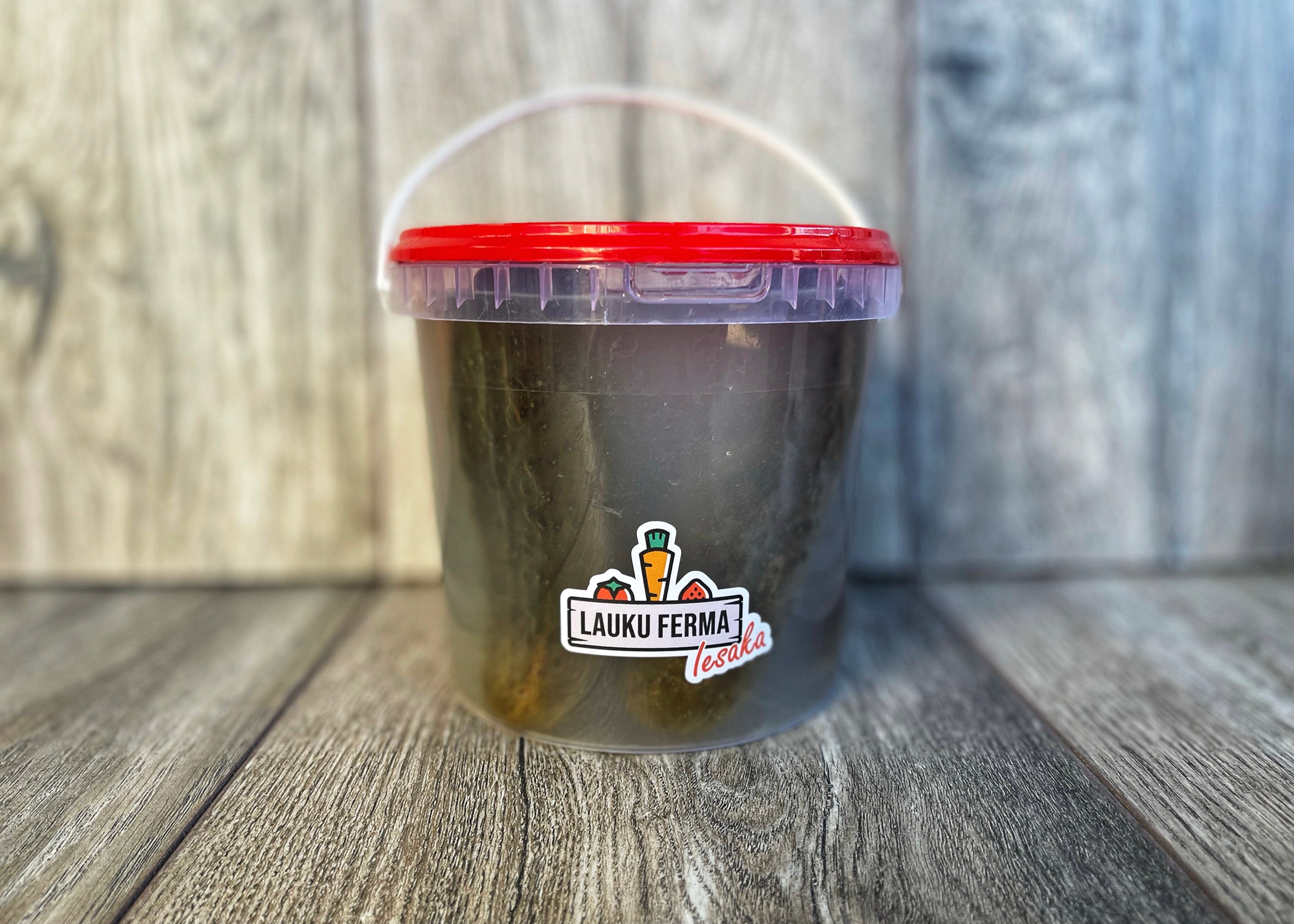 Sālīti gurķi [ 500G ]