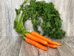Burkāni buntes   🥕 [ 1 GB ]