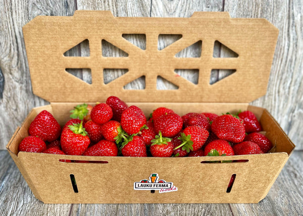 Latvijas  zemenes 🍓 [ 1 KG ]