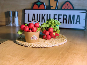 Redīsi - Lauku Ferma
