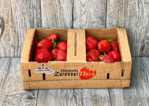 Latvijas Mālpils zemenes 🍓 [ 2 KG ]
