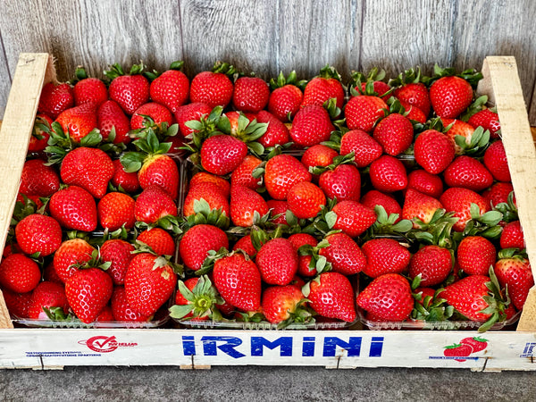 Grieķijas zemenes 🍓 [ 5 KG ]