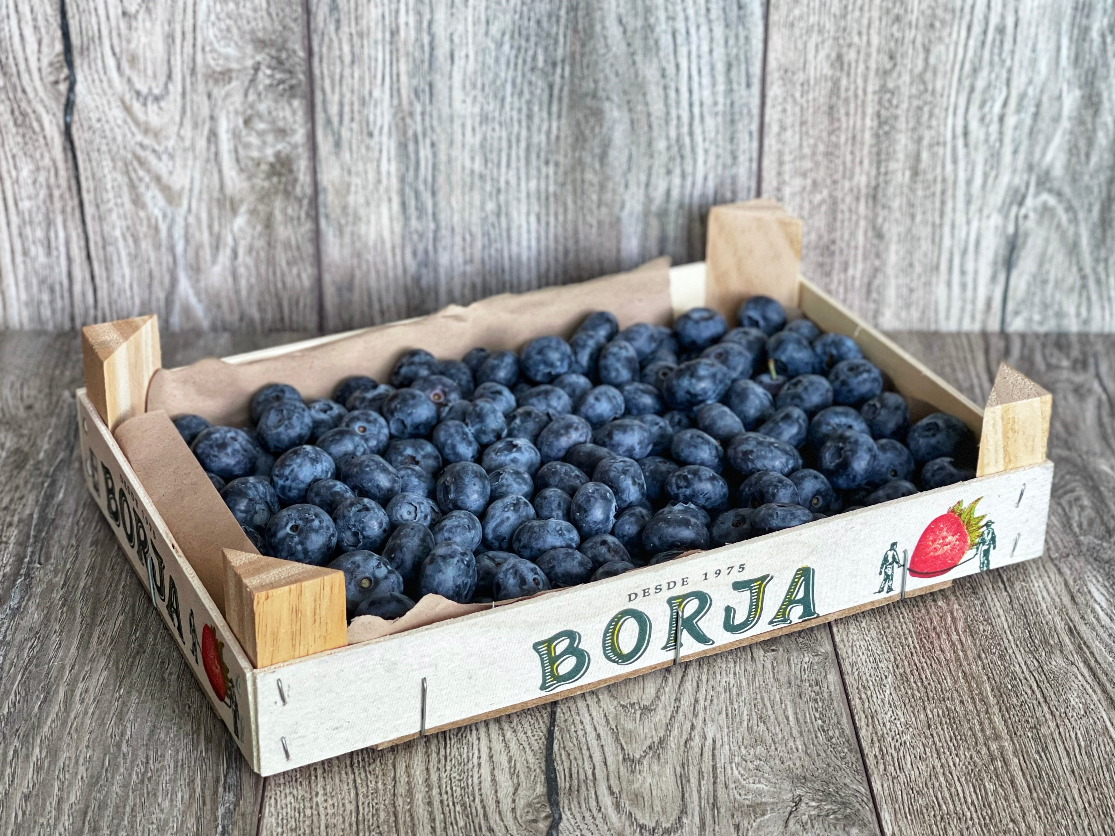 Dārza mellenes  🫐 [ 1 KG ]