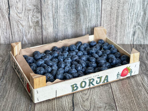 Dārza mellenes  🫐 [ 1 KG ]