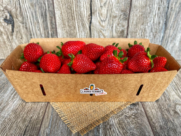 Grieķijas zemenes (atlasītas) 🍓 [ 1 KG ]