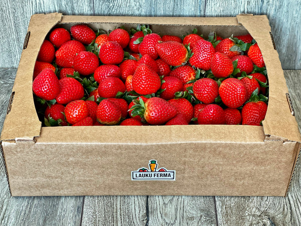 Grieķijas zemenes (atlasītas) 🍓 [ 3 KG ]